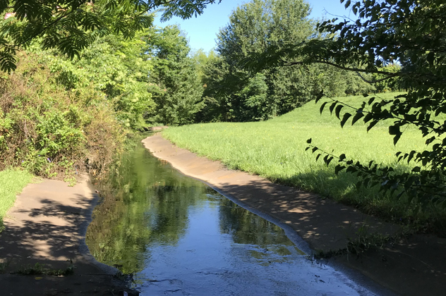 A small creek or river through trees on a sunny day